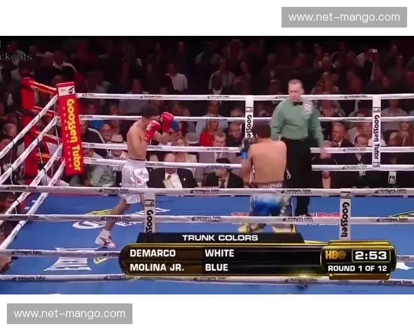 宿命对决：莫利纳vs.马特西，谁将问鼎拳台之巅？